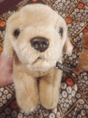 Keel toys signature cuddle - keel,