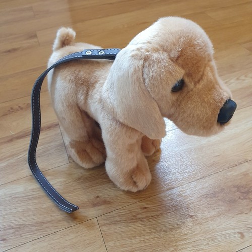 Keel dog puppy lead soft - dog,
