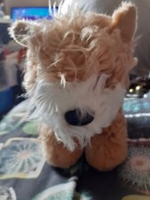 Keel Toys Jack Russell On A