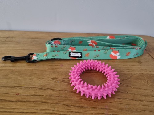 Dog lead and chew - chew, toy