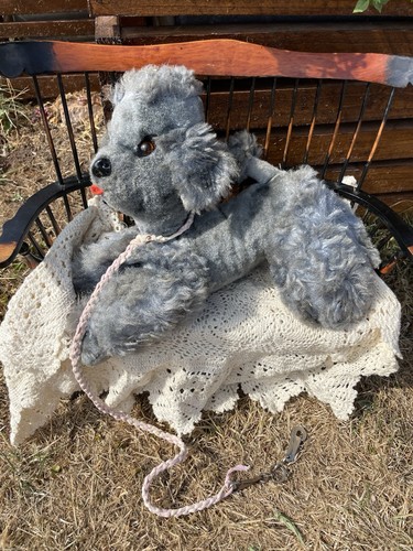 Blue teddy bear - blue, poodle
