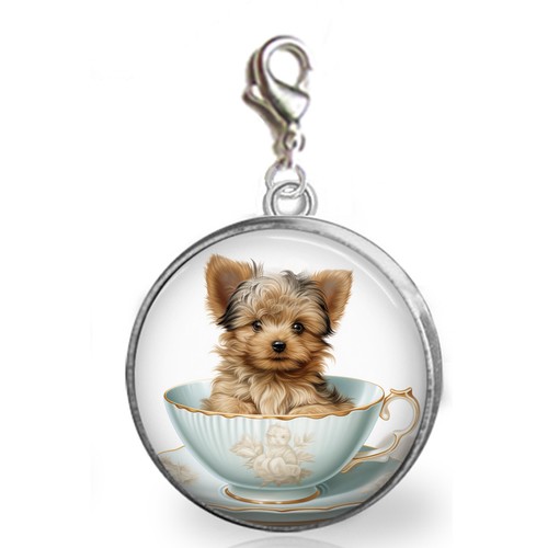 Teacup yorkie puppy - yorkie,